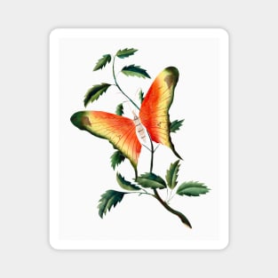 Rose Bush and Butterfly (1817–1907) Magnet