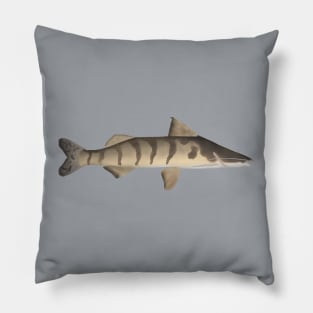 Zebra Catfish Pillow