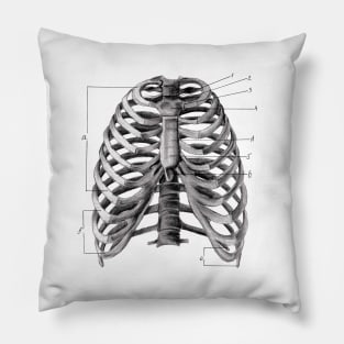 Human rib cage print Pillow