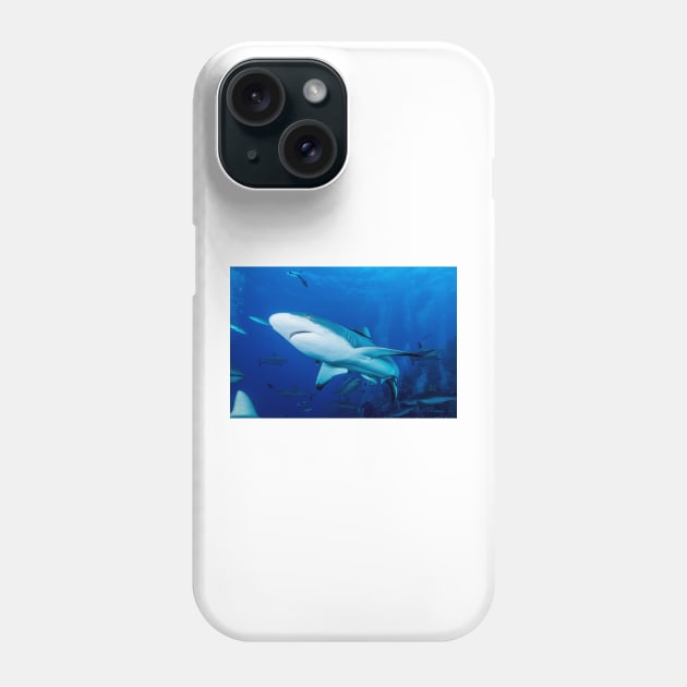 Reef Shark on the Great Barrier Reef Nov 13 Phone Case by seaearthandsky