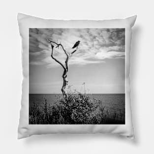 a lone crow in a dead tree on the Swedish coast Pillow