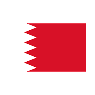 Bahrain flag T-Shirt