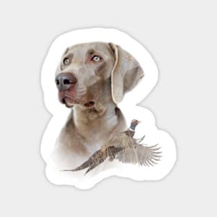 Weimaraner Magnet