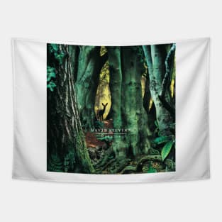 David Sylvian Manafon Album Cover Tapestry