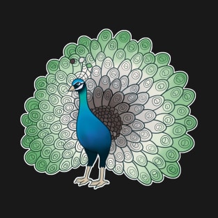 Aromantic Pride Peacock T-Shirt