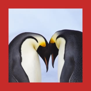 Emperor Penguin Greeting Each Other T-Shirt