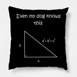 Even my dog knows pythagorean theorem Pillow