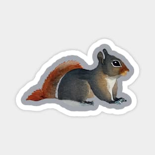 Simple Squirrel in Watercolor Magnet