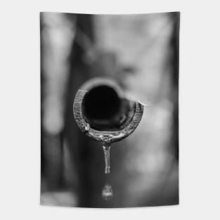 Black and white Bamboo Tapestry