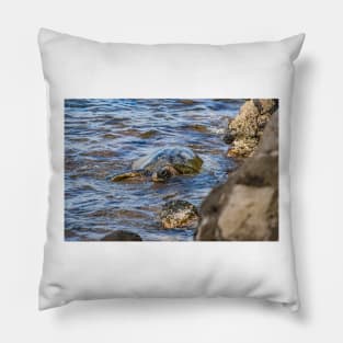 Honu Pillow