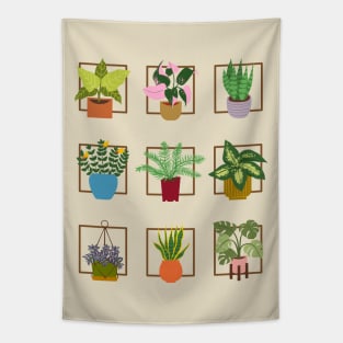 Plant Lover - Houseplants Galore Tapestry