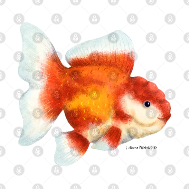 Oranda Goldifsh by julianamotzko