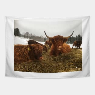 Scottish Highland Cattle Cow and Calf 1863 Tapestry