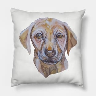 Cute Labrador Puppy Pillow