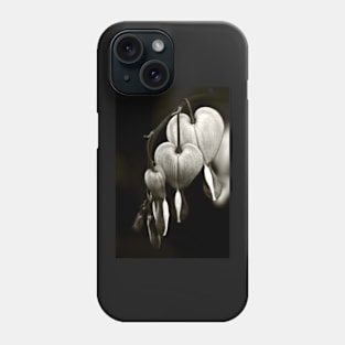 Bleeding Hearts (Dicentra) flowers in black and white Phone Case