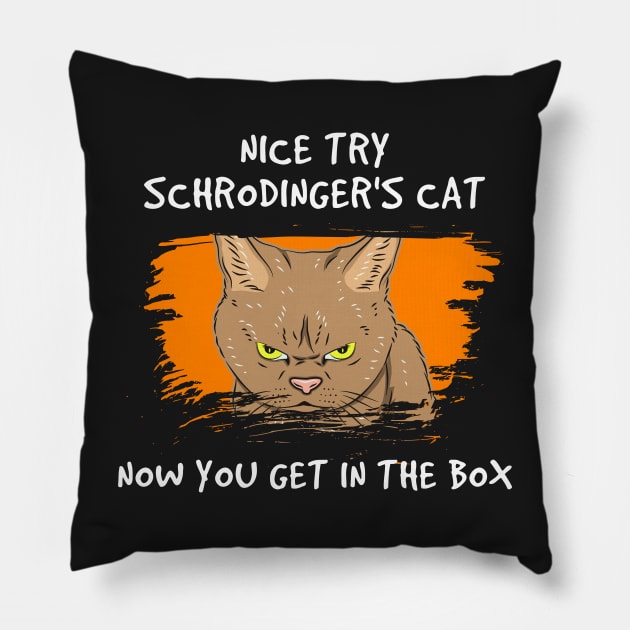 QUANTUM PHYSICS GIFT: Nice Try Schrodinger's Cat Pillow by woormle