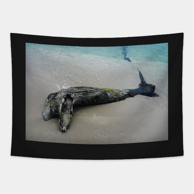 Driftwood Dolphin Tapestry by rozmcq