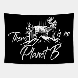 There Is No Planet, B Tapestry