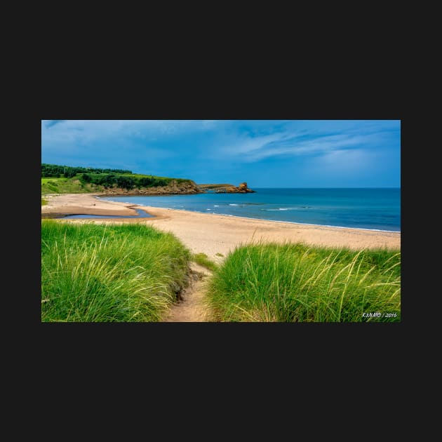 Beach at Margaree Harbour 02 by kenmo