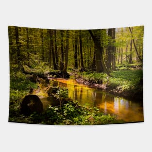 Spring mystical forest Tapestry