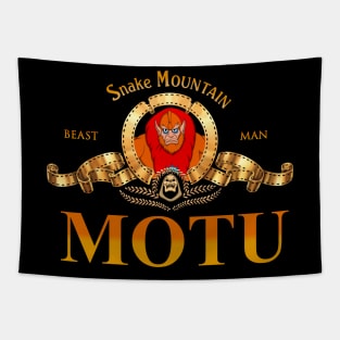 MOTU Tapestry