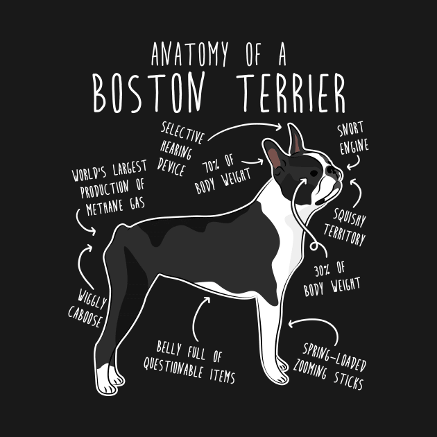 Boston Terrier Dog Anatomy by Psitta