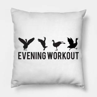 Evening Workout Black Duck Exercising Pillow