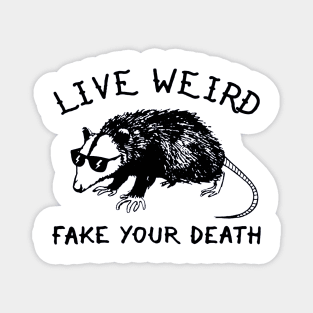 Spirit Awesome Opossum Magnet