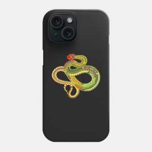 Southwest Arizona Rattler Phone Case