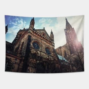 Roman Catholic Cathedral Notre Dame of Strasbourg Tapestry