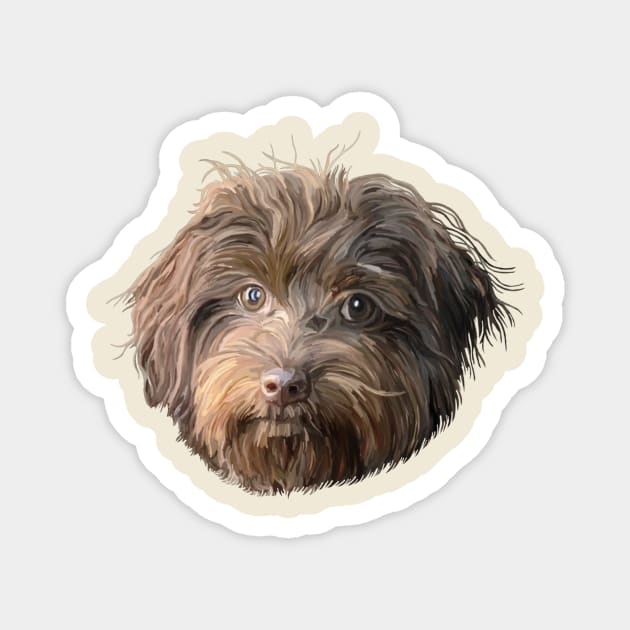 Havanese Dog Portrait Magnet by Art by Deborah Camp