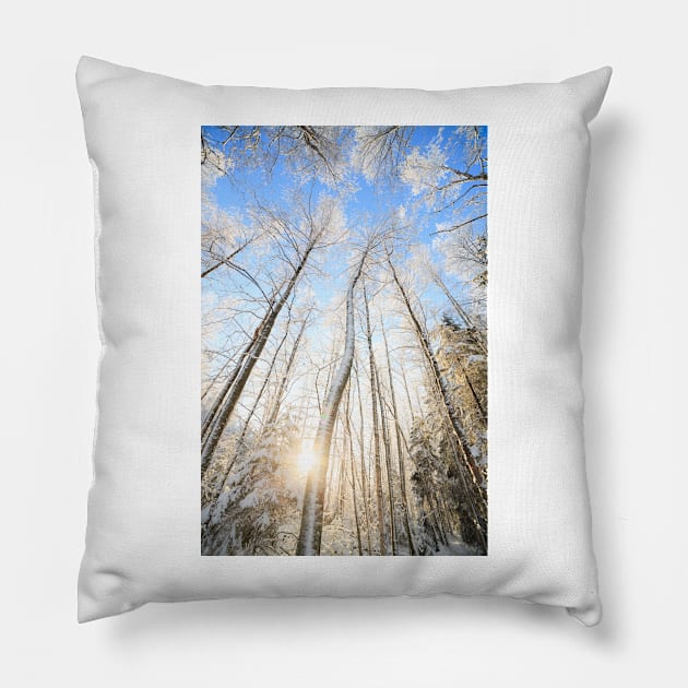 Winter forest Pillow by Juhku