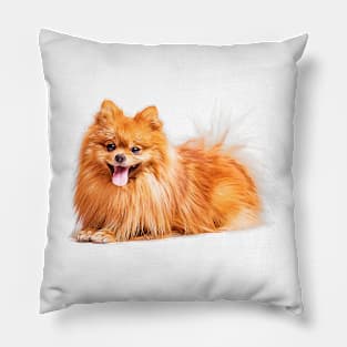 Cute Red Pomeranian Pillow