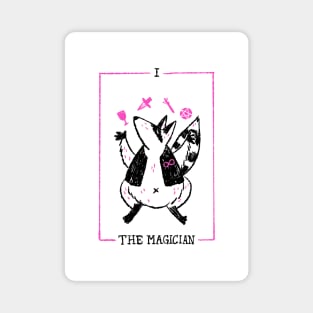 The magician Magnet