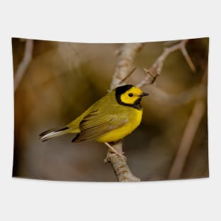 Hooded Warbler Tapestry