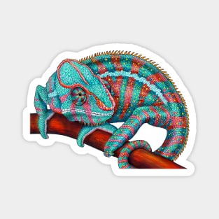 Panther Chameleon Magnet