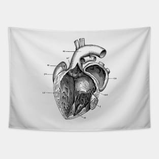 Internal Human Heart Diagram - Anatomy Poster Tapestry