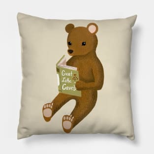 Reading Bear Pillow