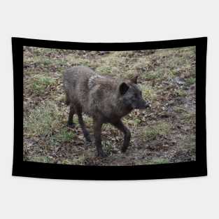 Black Wolf Tapestry