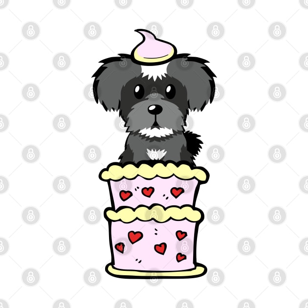 Schnauzer dog Jumping out of a cake by Pet Station