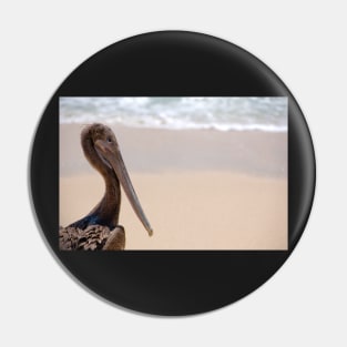 Brown Pelican Pin