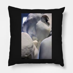 The Kiss (close-up) Pillow