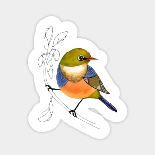 Silvereye bird Magnet