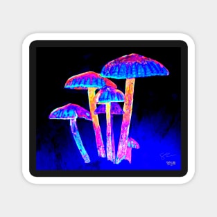 Mushroom Glow Magnet