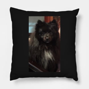 Pom Repose 3 Pillow