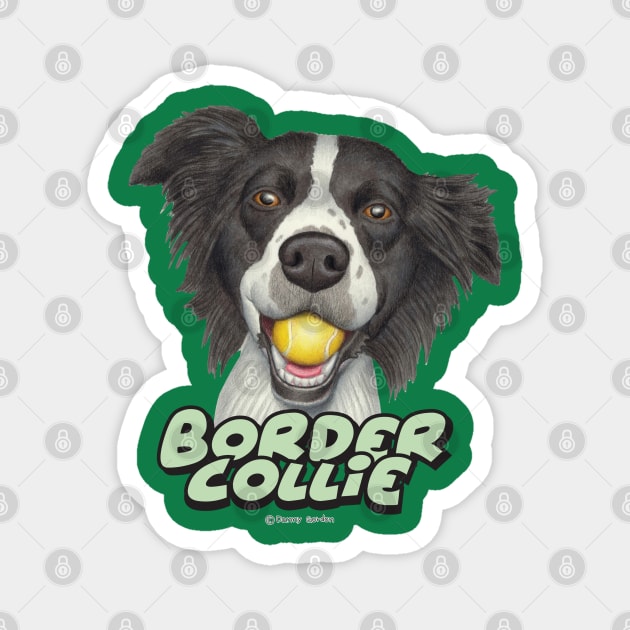 Cute Border Collie Dog with tennis ball in mouth Magnet by Danny Gordon Art