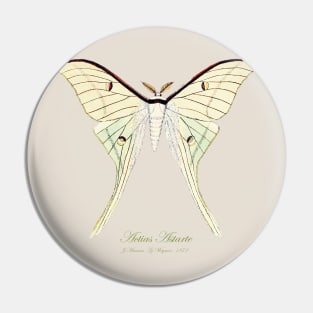Butterfly - Actias Artemis, Actias Astarte Pin