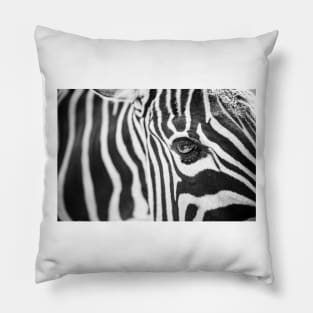 Zebra (Print Only) Pillow