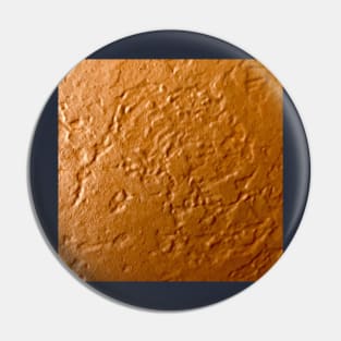 Pumpkin Pie, dark orange textured painting Pin
