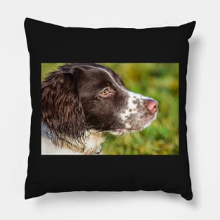 English Springer Pillow